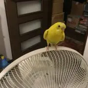 ももそらお