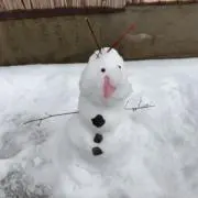 びびの画像