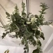 さーの画像