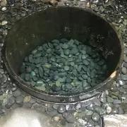みっちゃんの画像