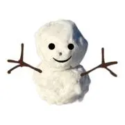 YMN_O