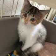 エコノミーの画像