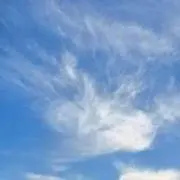wuの画像