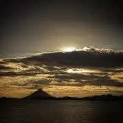 ゆうの画像