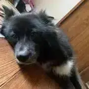 Tsuuuuの画像
