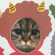すーの画像