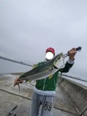 なりの画像