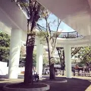 yの画像