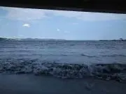 うまごんの画像