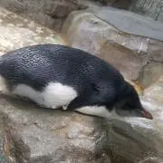 Miの画像