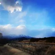 loiterの画像