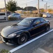 Levin