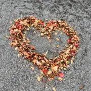 aiの画像