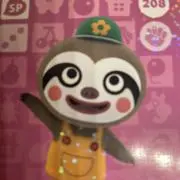 きょんこ