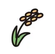 らい麦ぱんの画像