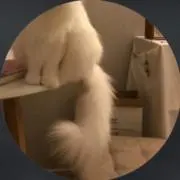 м 値下げ中の画像