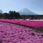 あきの画像