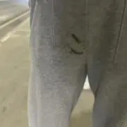 貝の画像