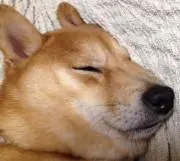 t_okbkb