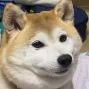 gonhana