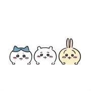 chiiの画像