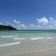 りんごあめの画像