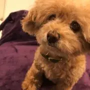 あーみの画像