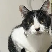 パチの画像