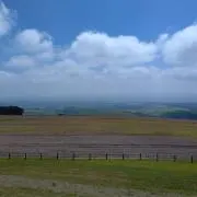 ぶどうの画像
