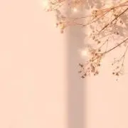 ゆらゆらの画像