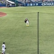 紅茶