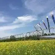 ひまりの画像