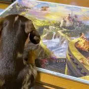 むー。の画像