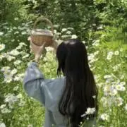 あおの画像
