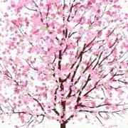 あゆたろう
