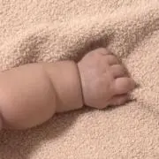 わたあめの画像