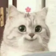にだ