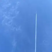 づぴの画像