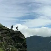 sakoの画像