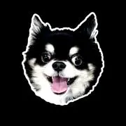 NAOの画像