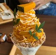 くーの画像
