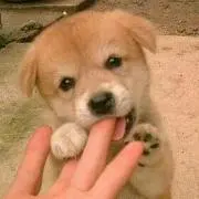みるく☆ワンダフル