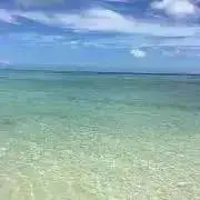 kannの画像
