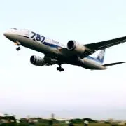 787の画像