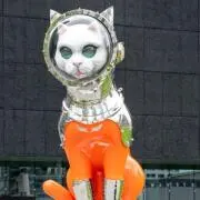猫ジギの画像