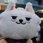 みみの画像