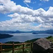 みーこの画像