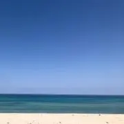 mの画像