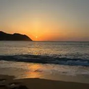 じんの画像