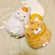 ここあみるく